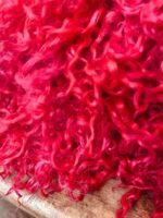 50g Pillar Box Red Teeswater Curls