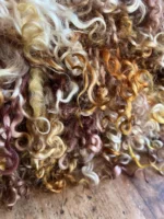 50g Amber/Mahogany Teeswater Curls - Image 5