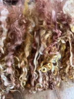 50g Amber/Mahogany Teeswater Curls - Image 4