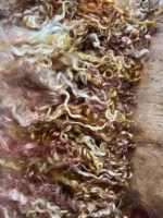 50g Amber/Mahogany Teeswater Curls - Image 3