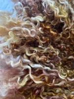 50g Amber/Mahogany Teeswater Curls - Image 2