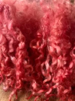 50g Pinky Peach Teeswater Curls