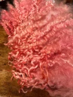 50g Pinky Peach Teeswater Curls - Image 4