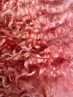50g Pinky Peach Teeswater Curls - Image 5