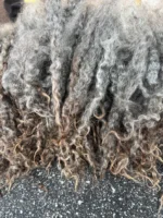 50g Light Leicester Longwool Locks - Image 2