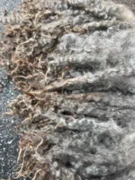 50g Light Leicester Longwool Locks - Image 3