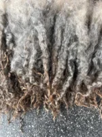 50g Light Leicester Longwool Locks - Image 4
