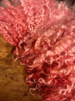 50g Pinky Peach Teeswater Curls - Image 6